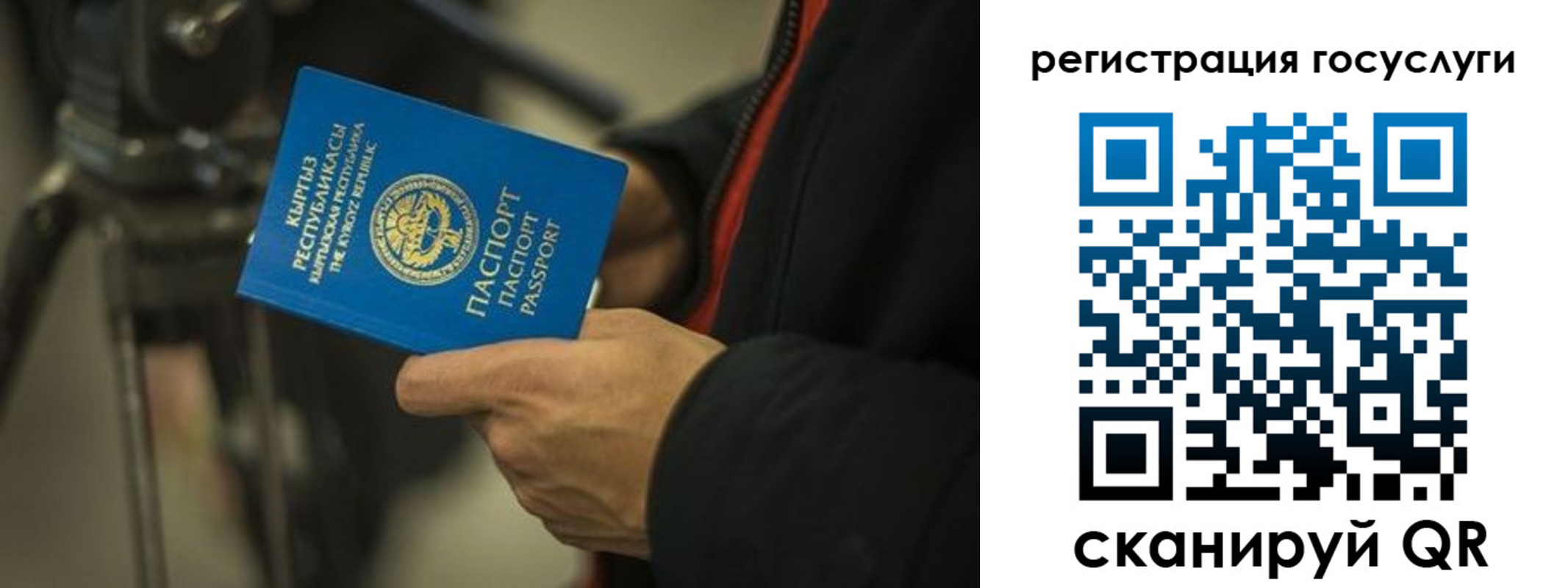 регистрация в Волгограде
